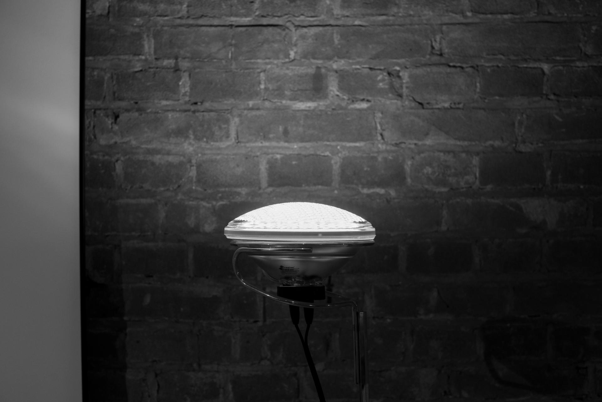 Lichtadvies 20250714 DSC 3783